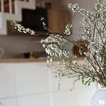 Swierkowa Osada
